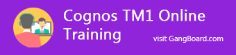 Cognos TM1 Online Training