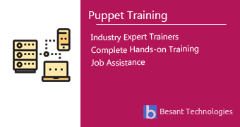Puppet Training in Pune